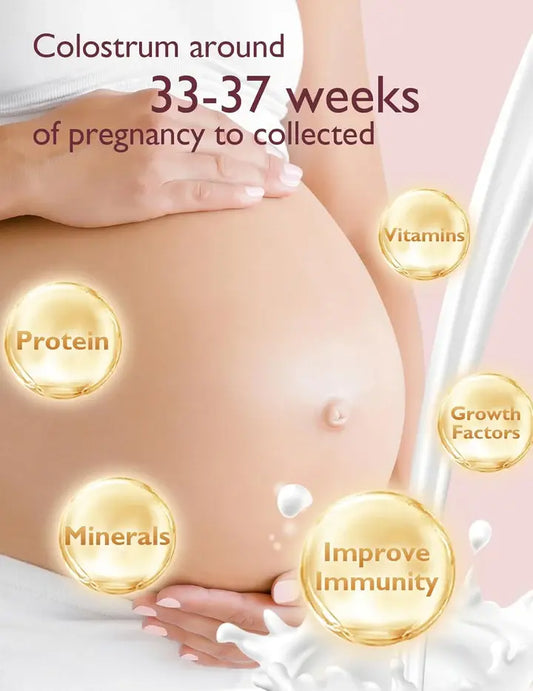 Collecteur de lait maternel réutilisable Momcozy Colostrum - Image 3