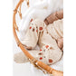 Andywawa Ensemble  graphique beige avec ours aventurier - Image 3