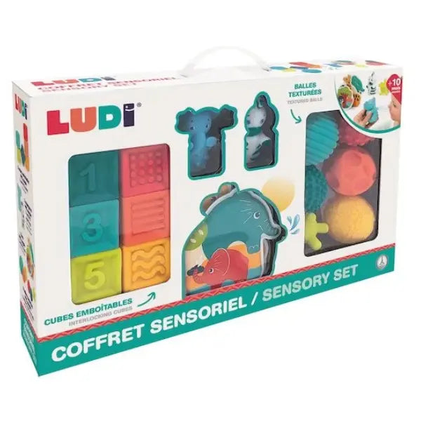 Coffret d'éveil Jungle Multicolore Ludi - Image 3
