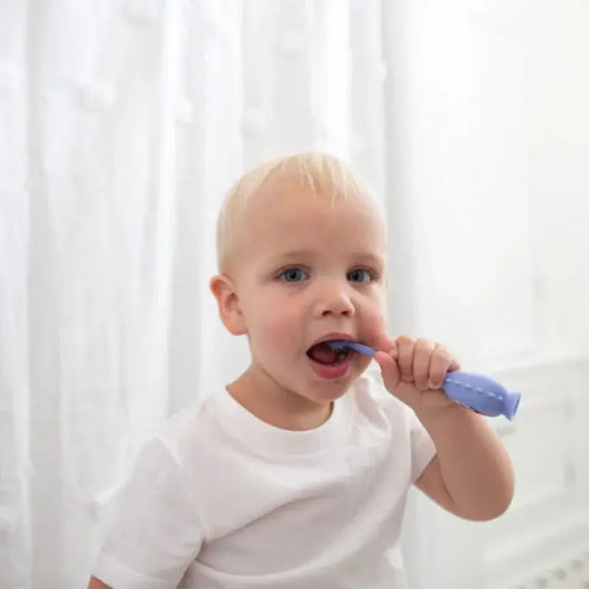 Dr. Brown’s Toothscrubber Brosse à dents pour tout-petits - Image 3